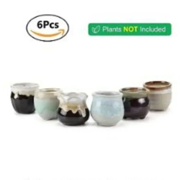 T4U Small Ceramic Succulent Pots Set of 6 - Picture 1 of 4